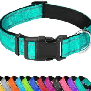 Reflective Dog Collar for Medium Dogs