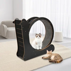 Cat Exercise Wheel, Large Cat